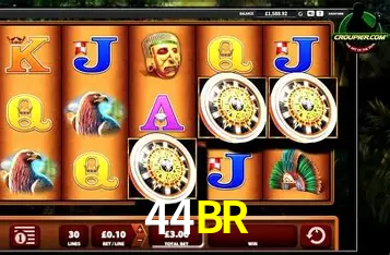 App 44BR iOS